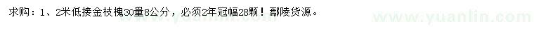 求購30量8公分金枝槐