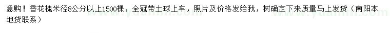 求購米徑8公分以上香花槐