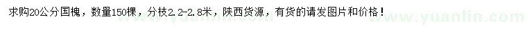 求購20公分國槐