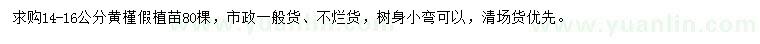 求購14-16公分黃槿