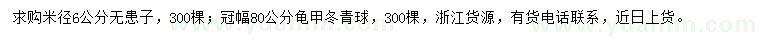 求購(gòu)米徑6公分無(wú)患子、冠幅80公分龜甲冬青球