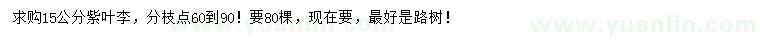 求購15公分紫葉李