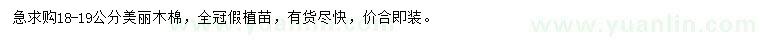 求購18-19公分美麗木棉