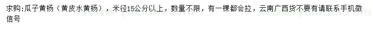 求購(gòu)米徑15公分以上瓜子黃楊