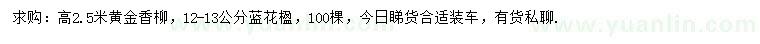 求購(gòu)12-13公分藍(lán)花楹、高2.5米黃金香柳