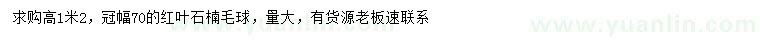求購(gòu)高1.2米紅葉石楠