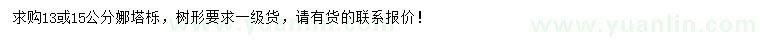 求購13或15公分娜塔櫟