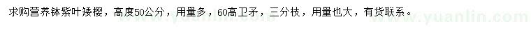 求購高2.2米紫葉矮櫻、衛(wèi)矛