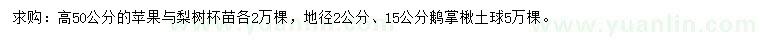 求購蘋果苗、梨樹苗、鵝掌楸