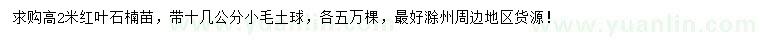 求購高2米紅葉石楠