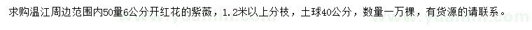 求購50量6公分紫薇