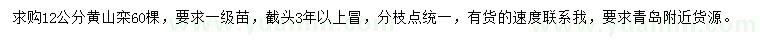 求購12公分黃山欒