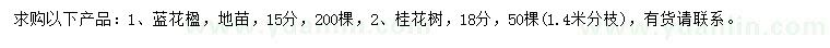 求購(gòu)15公分藍(lán)花楹、18公分桂花樹