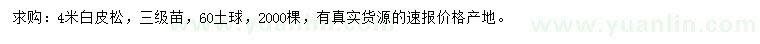 求購(gòu)4米白皮松