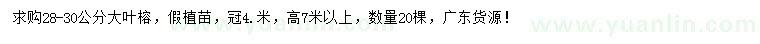 求購28-30公分大葉榕