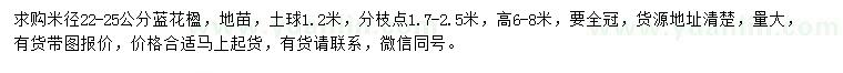 求購(gòu)米徑22-25公分藍(lán)花楹