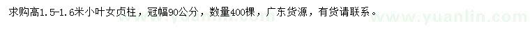 求購(gòu)高1.5-1.6米小葉女貞柱
