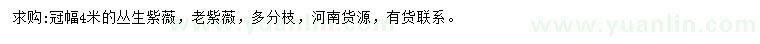 求購(gòu)冠幅4米叢生紫薇