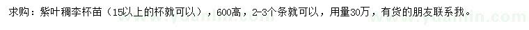 求購15公分以上紫葉稠李