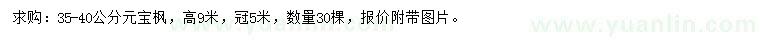 求購(gòu)35-40公分元寶楓
