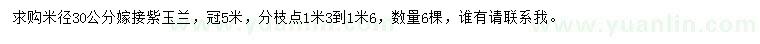 求購(gòu)米徑30公分紫玉蘭