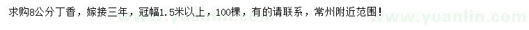 求購8公分丁香