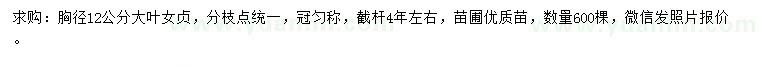 求購胸徑12公分大葉女貞
