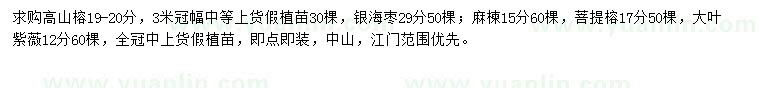 求購高山榕、銀海棗、麻楝等