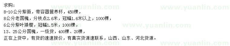 求購紫薇、國槐、紫葉矮櫻等