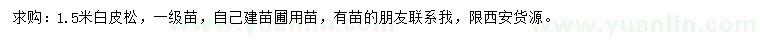 求購1.5米白皮松