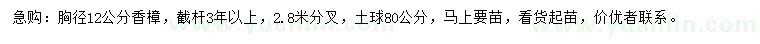 求購(gòu)胸徑12公分香樟