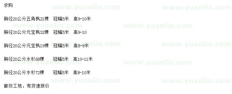 求購(gòu)五角楓、元寶楓、水杉