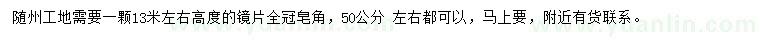 求購(gòu)50公分皂角