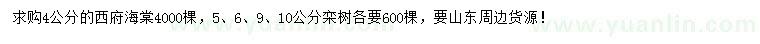 求購4公分西府海棠、5、6、9、10公分欒樹(shù)