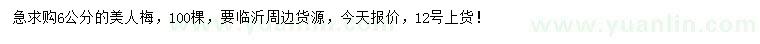求購(gòu)6公分美人梅