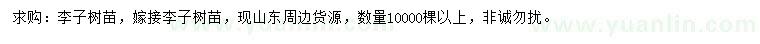 求購李子樹苗