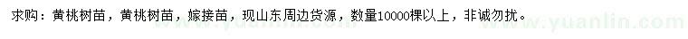 求購(gòu)黃桃樹(shù)苗