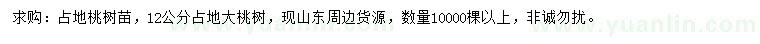 求購12公分桃樹