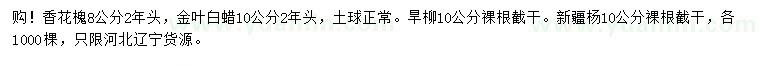 求購(gòu)香花槐、金葉白蠟、旱柳等