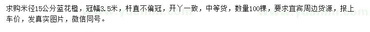 求購(gòu)15公分藍(lán)花楹