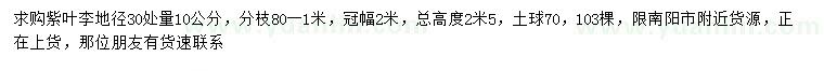 求購30量10公分紫葉李