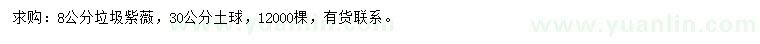 求購8公分紫薇