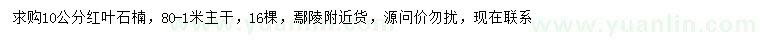 求購10公分紅葉石楠