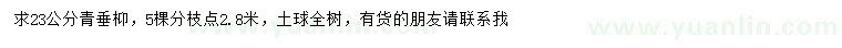 求購(gòu)23公分青垂枊