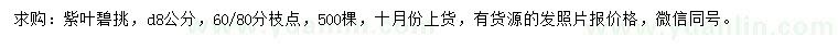 求購(gòu)地徑8公分紫葉碧挑