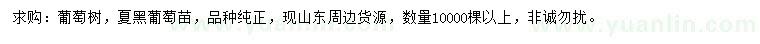求購(gòu)夏黑葡萄苗