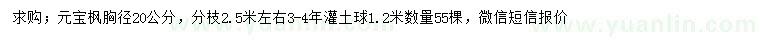 求購(gòu)胸徑20公分元寶楓