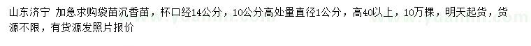 求購(gòu)10量1公分沉香苗