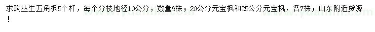 求購(gòu)叢生五角楓、20、25公分元寶楓