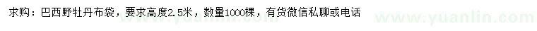 求購(gòu)高2.5米巴西野牡丹